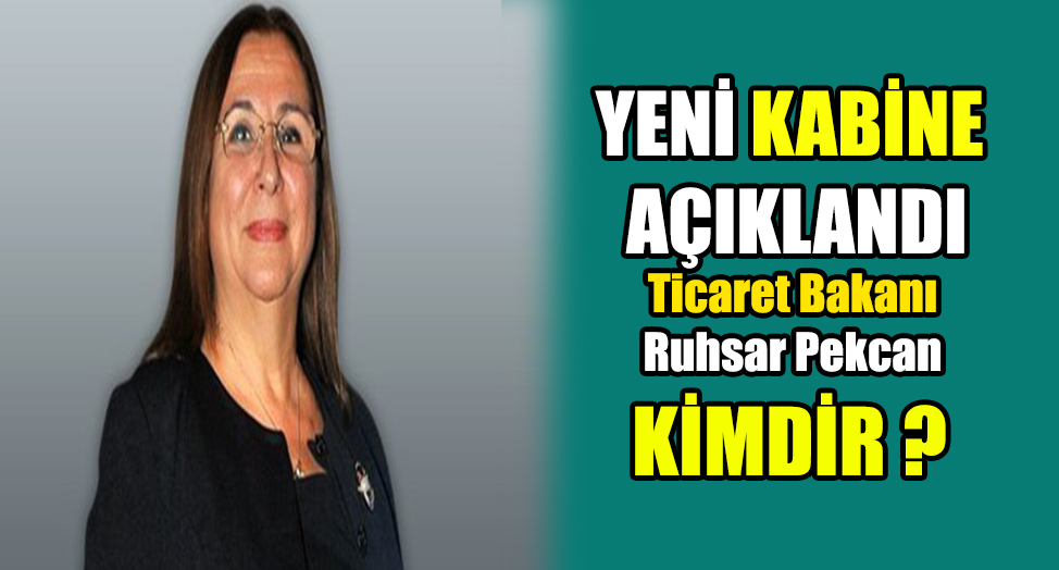 Ticaret Bakanı Ruhsar Pekcan kimdir?