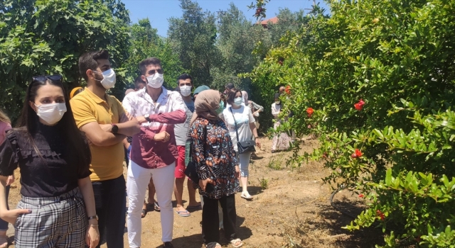 Batman Üniversitesi öğrencileri, Antalya’da bahçe ve seraları gezdi