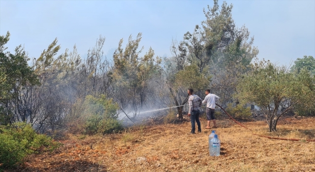 Osmaniye’de çıkan orman yangınına müdahale ediliyor