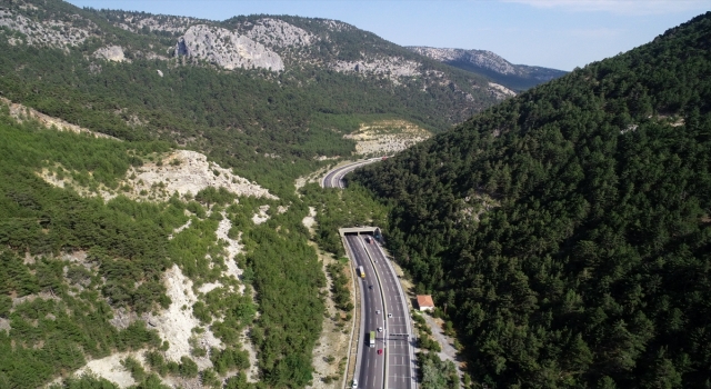 Adana’daki ”Orman Ekosistem Köprüsü” yaban hayvanlarının güvenli geçiş rotası oluyor