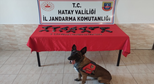 Hatay’da, Suriye’den kaçak getirildiği belirlenen 7 tabanca ve 48 sikke ele geçirildi