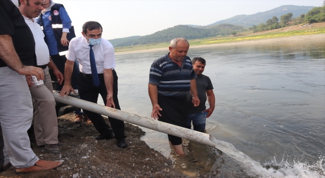 Osmaniye’de Aslantaş Baraj Gölü’ne 428 bin sazan yavrusu bırakıldı