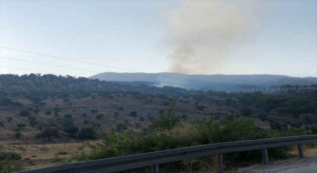 Hatay’da ormanlık alanda çıkan yangın büyümeden kontrol altına alındı
