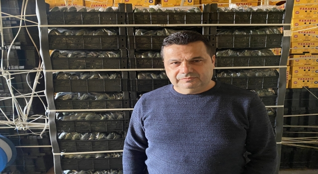 Ukrayna’da mahsur kalan tırlardaki sebzeleri savaş mağdurlarına dağıttırdı