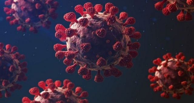 Mutasyon Nedir ? Mutasyonlu Virüs Nedir ? Mutasyonlu Koronavirüs Özellikleri nedir?