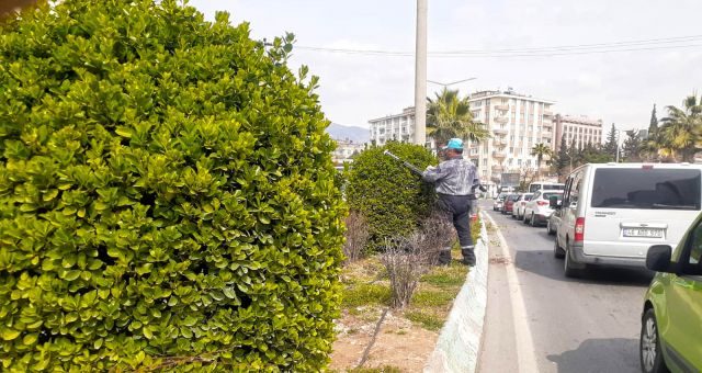 Kahramanmaraş Büyükşehir’den Yeşil Alanlarda Bakım Çalışması