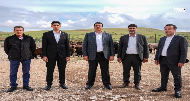 Başkan Umut Yılmaz Kurbanlık Fiyatlarını Açıkladı: Fırsatçılığa Geçit Yok