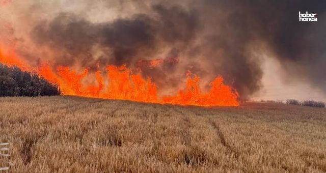 Kahramanmaraş’ta Peş Peşe Yangınlar! Havadan Müdahale Yapıldı!