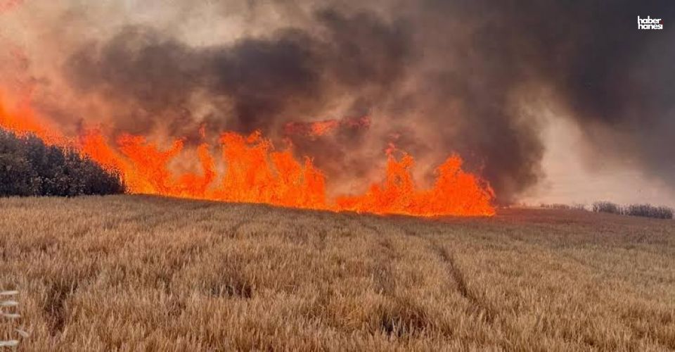 Kahramanmaraş’ta Peş Peşe Yangınlar! Havadan Müdahale Yapıldı!