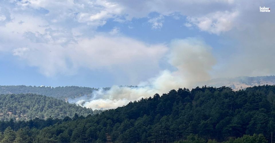 Kahramanmaraş’ta Orman Yangını! 70 Personel ve 3 Helikopter Seferber Oldu