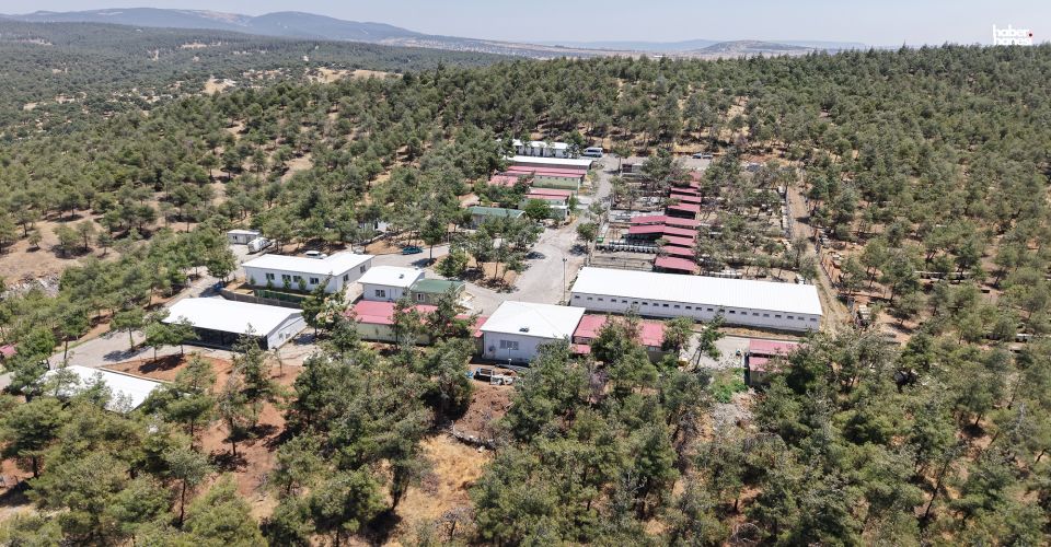 Büyükşehir ve Sahipsiz Hayvanları Koruma Birliği’nden 5 Binin Üzerinde Can Dostuna Güvenli Yaşam Alanı
