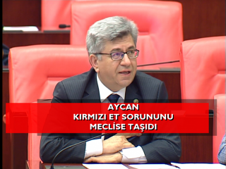 Aycan, kırmızı et sorununu Meclis’e taşıdı