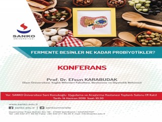FERMENTE BESİNLER NE KADAR PROBİYOTİKLER