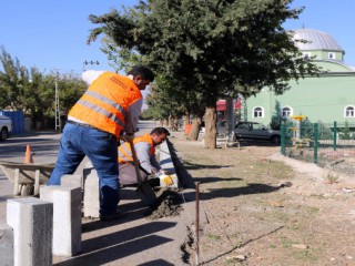 Cüceli’ye Yürüyüş Yolu Yapılıyor