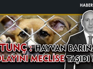 KAHRAMANMARAŞ’TA SOKAK HAYVANLARI ÖLDÜRÜLÜYOR!