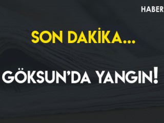 Son Dakika... Göksun'da Yangın