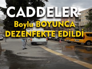 Büyükşehir Caddeleri Dezenfekte Etti !