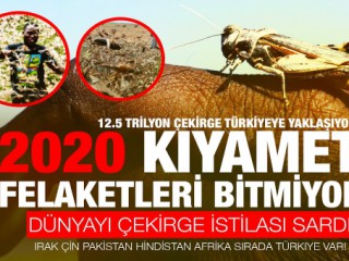 Coronavirüs'ten Sonra Şimdi'de Çekirge İstilası Yolda !