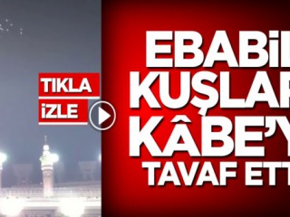 Ebabil kuşları Kâbe'yi tavaf etti