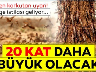 Birleşmiş Milletler Uyardı !