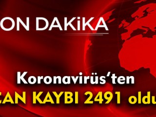 Koronavirüs Can Kaybı 2491 oldu