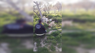 Kahramanmaraş Büyükşehir İnsan Dostlarını Unutmadı