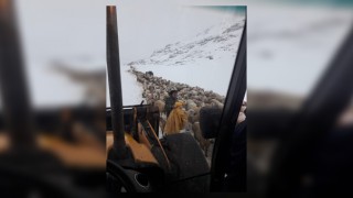 Kahramanmaraş'a Mayıs'ta Kar Yağdı Yaylacılar Mahsur Kaldı