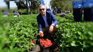 Başkan Güngör Tarımda Kalkınma Projelerinin Arkasındayız