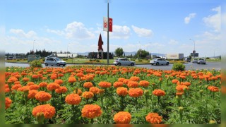 Büyükşehir’den mevsimlik çiçek dikimi