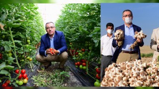Güngör " Kahramanmaraş Tarımında Başkentidir "