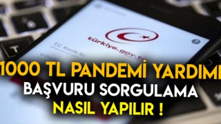Pandemi Başvuru Sonucu Sorgulama 2020