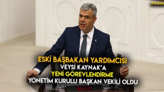 Veysi Kaynak'a Yeni Görevlendirme