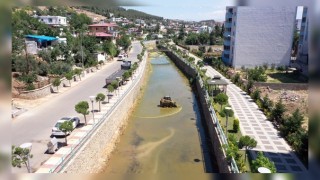 Kahramanmaraş'ta Sivrisinek Üreme Alanları Temizlendi