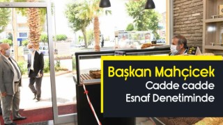 Başkan Mahçicek Kovid-19 Denetiminde