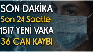 Türkiye'de Koronavirüs'te Son Durum 1517 Yeni Vaka 36 Can Kaybı