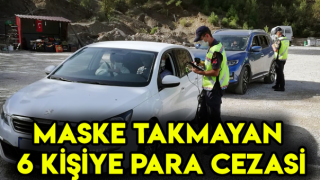 Adana'da Maske Denetimi Yapıldı