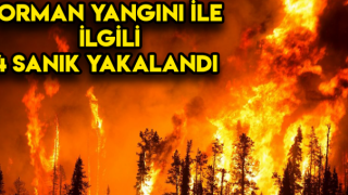 Adana'da Orman Yangınları İle İlgili 4 Kişi Gözaltına Alındı