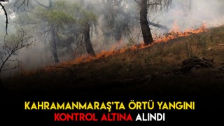 Andırın İlçesinin Ormanlık Alanında Yangın
