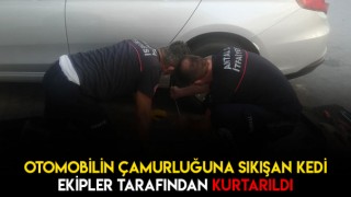 Antalya'da Sıkışan Kediyi İtfaye Ekipleri Kurtardı
