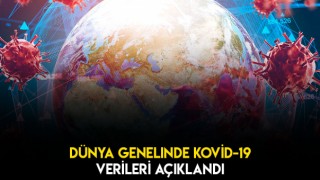 Dünya Genelinde Vaka Sayısı 41 Milyon 124 Bin'i Geçti