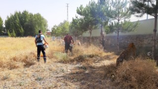 Elbistan'da Mezarlıklar Bakıma Alındı