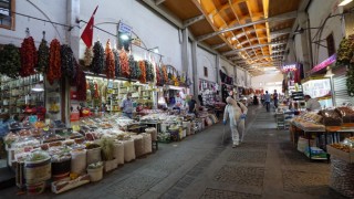 Haşare İlaçlaması Zararı Önledi