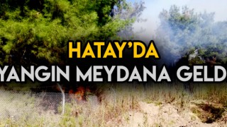 Hatay'ın İskendurun İlçesinde Yangın Meydana Geldi