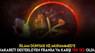 İslam Dünyası Tek Ses !!!