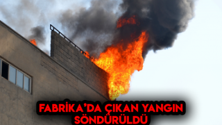 Kahramanmaraş'ta Fabrika'da Yangın