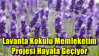 Kahramanmaraş'ta "Lavanta Kokulu Memleketim" projesi hayata geçiyor