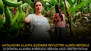 Devlet'ten Destek Alarak Muz Üreticisi Olma Yolunda Adıma Attı