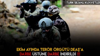 Ekim Ayında Terör Örgütü Deaş'e İndirilen Darbe