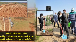 Gelecek Nesillerimizi Düşünerek Fidan Dikiyoruz