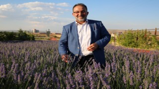 Afşin Lavantası Dünyaya Açılıyor